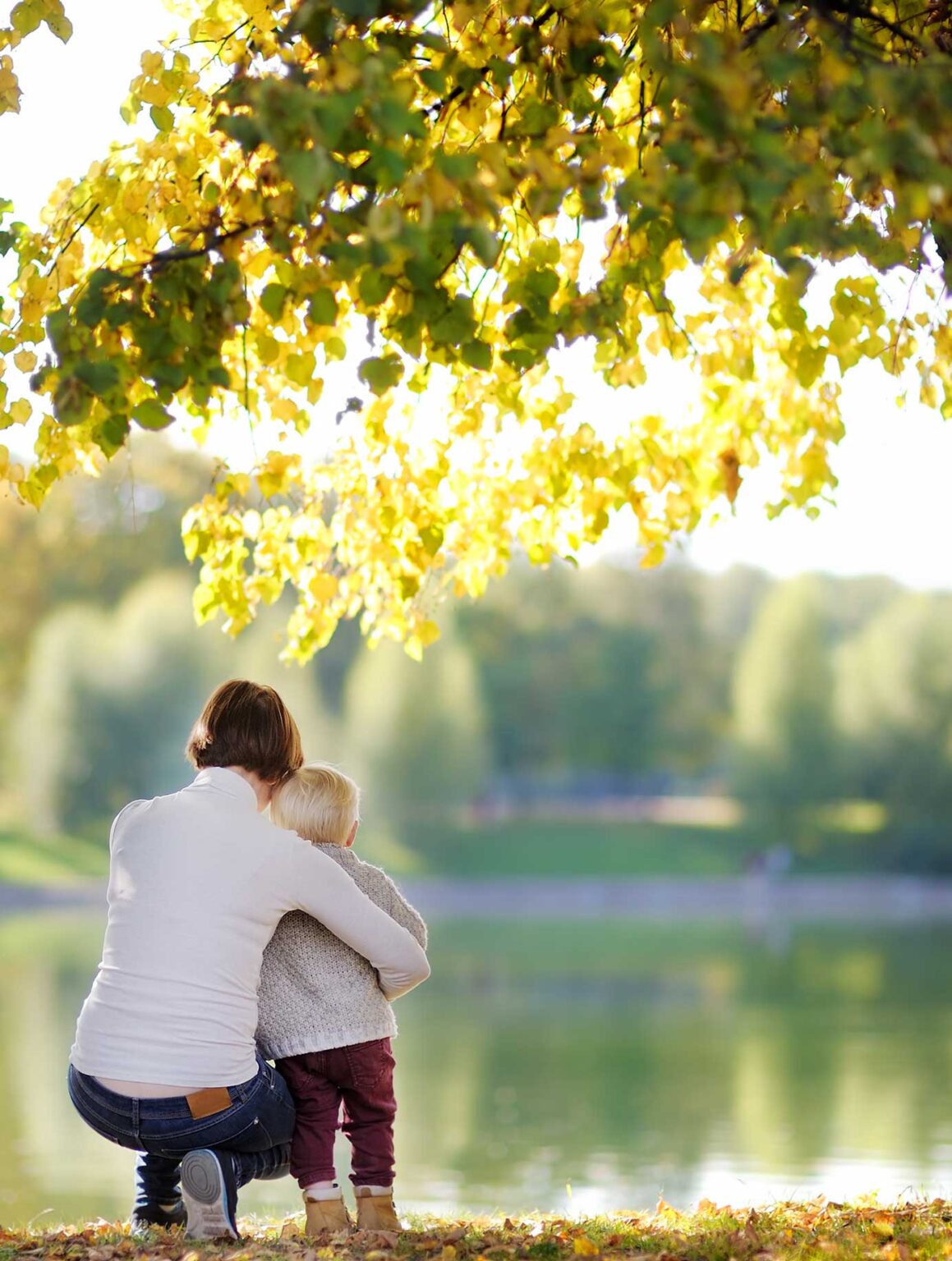 New Development In Fulshear, TX New Homes in Fulshear TX Fulshear Lakes